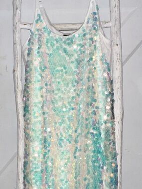 Torrid Iridescent Sequin Dress
